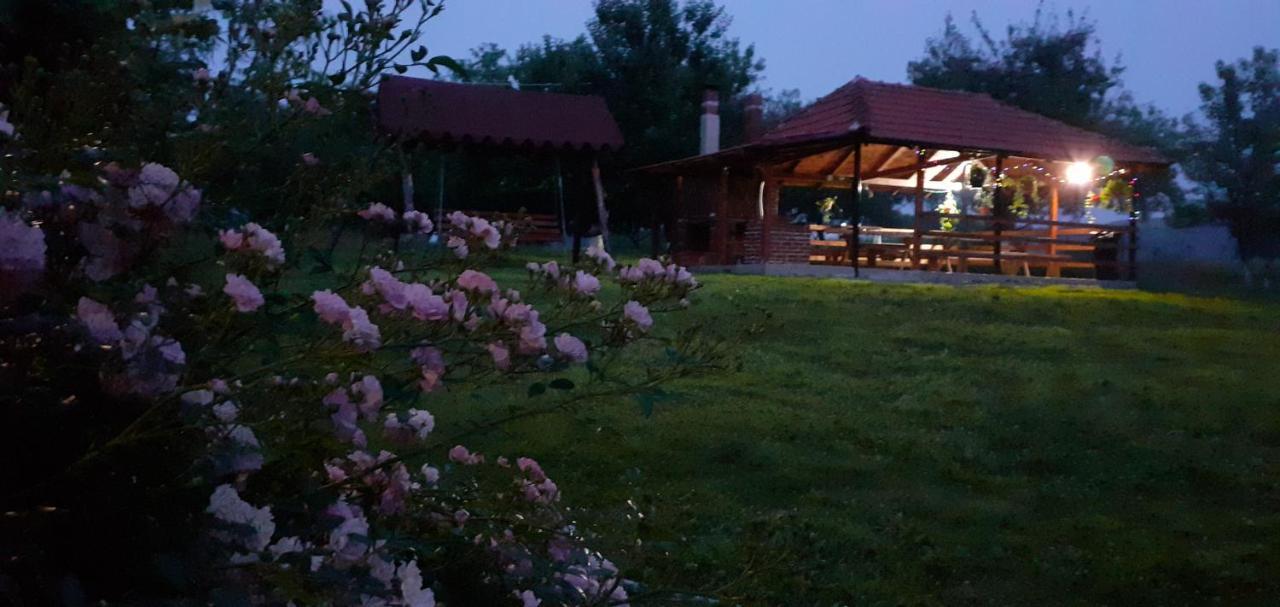 Valea Drăganului Pensiunea Agroturistica Ica מראה חיצוני תמונה