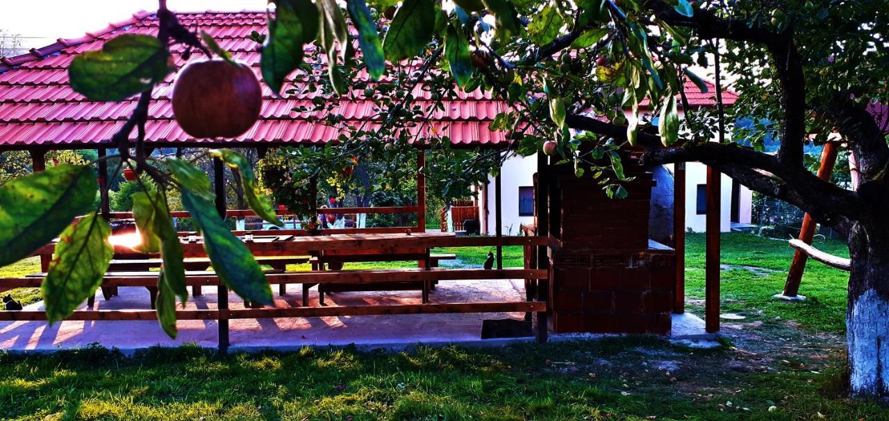 Valea Drăganului Pensiunea Agroturistica Ica מראה חיצוני תמונה