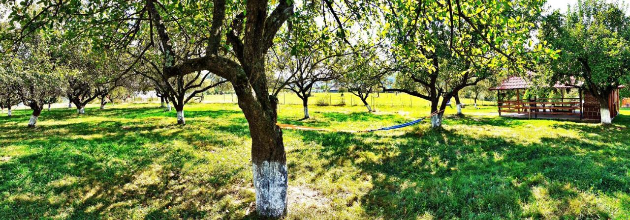 Valea Drăganului Pensiunea Agroturistica Ica מראה חיצוני תמונה