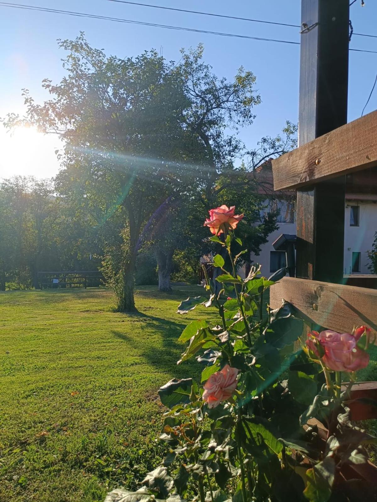 Valea Drăganului Pensiunea Agroturistica Ica מראה חיצוני תמונה