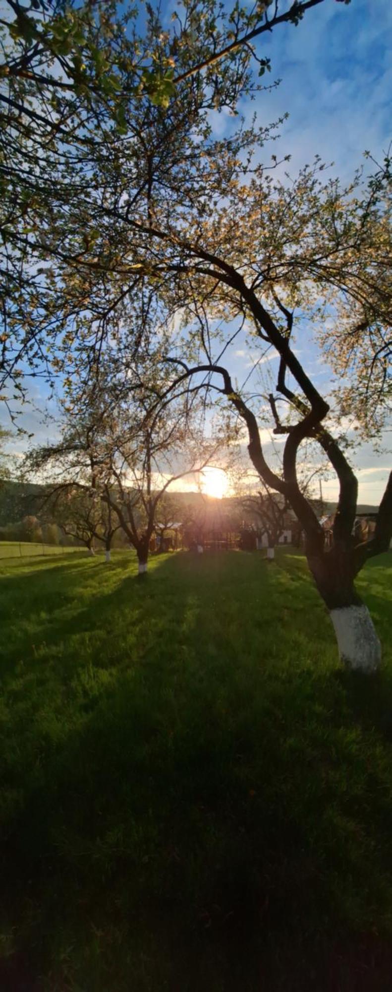 Valea Drăganului Pensiunea Agroturistica Ica מראה חיצוני תמונה
